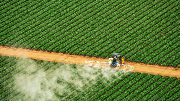 Best Ant Control Services  in La Grange Park, IL
