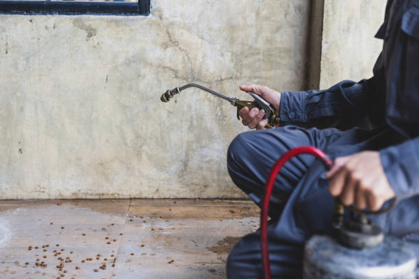 Best Wasp Removal Services  in La Grange Park, IL
